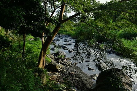 DSC_1179 (1)