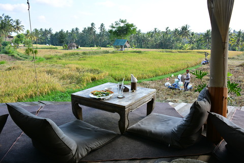 DSC_7912