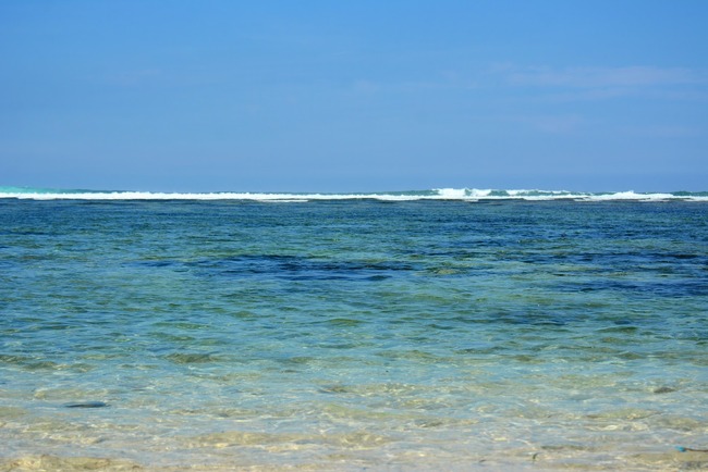 DSC_9094 (1)