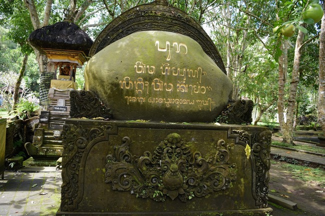 DSC_3406(1