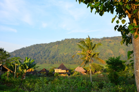 DSC_5048