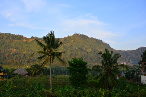 DSC_4999