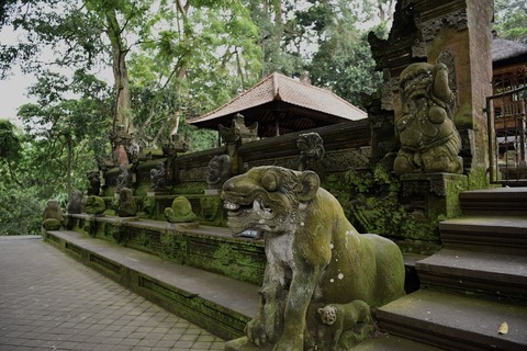 DSC_8128 (1)