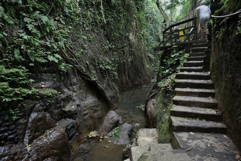 DSC_8373 (1)