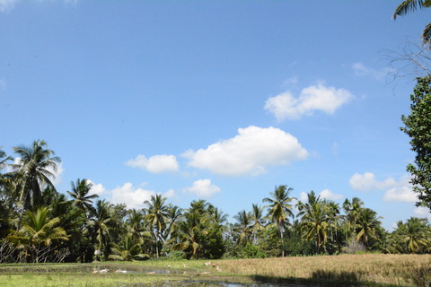 DSC_1956