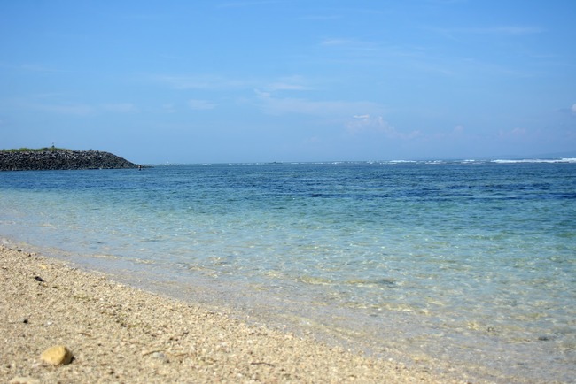 DSC_9121 (1)
