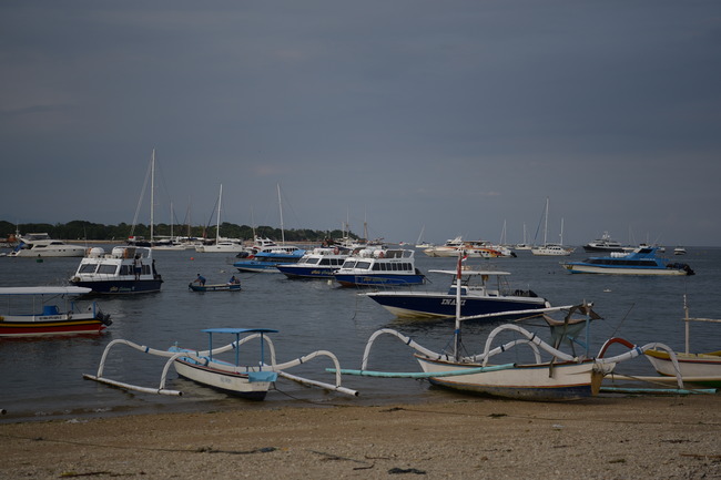 DSC_8987