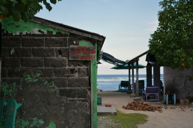 DSC_2803 (1)