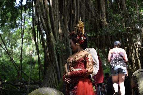 DSC_8417 (1)