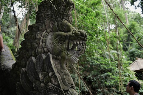 DSC_8392 (1)