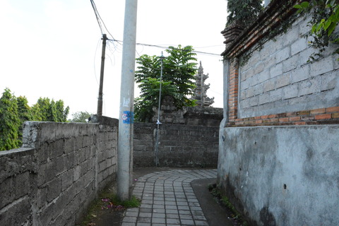 DSC_1478