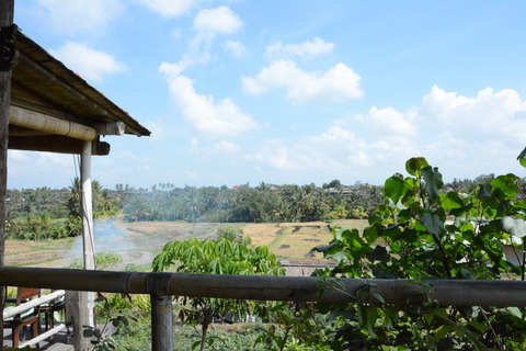 DSC_1761