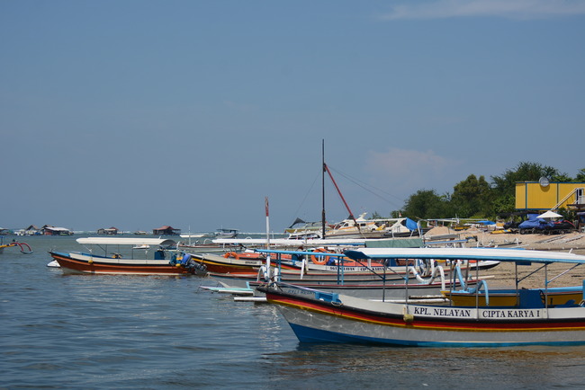 DSC_8954