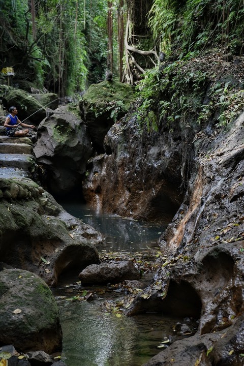 DSC_8376 (1)