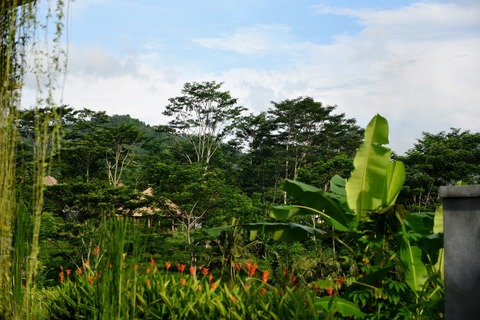 DSC_1077 (1)