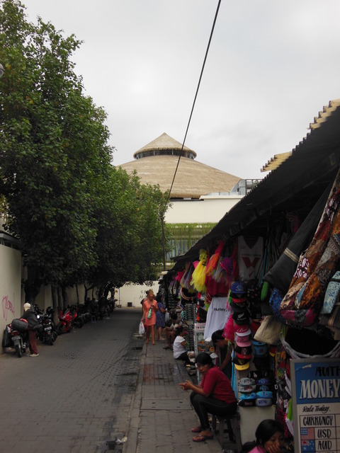 DSCN5224