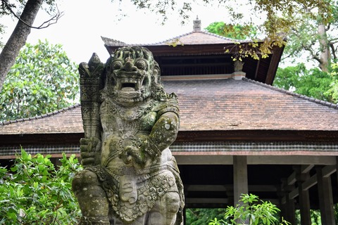 DSC_8082 (1)