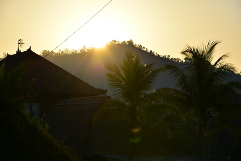 DSC_5035