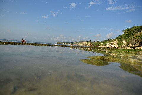 DSC_3316