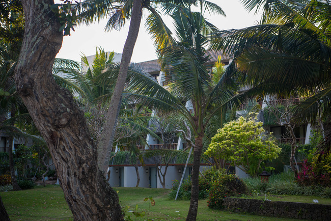 DSC_6265-2