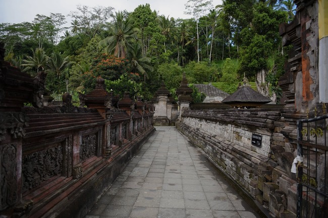 DSC_3643 (1)