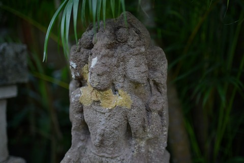 DSC_8955 (1)