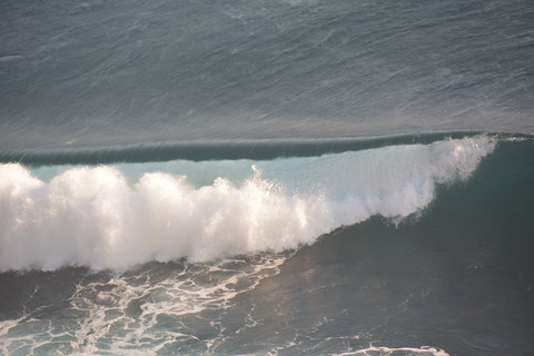 DSC_2187