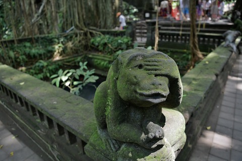 DSC_8342 (1)