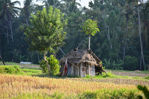 DSC_8041