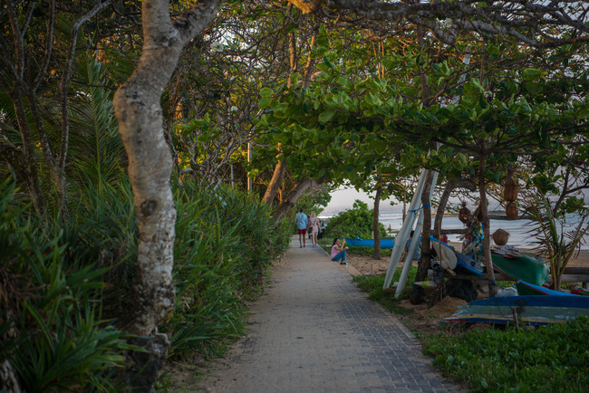 DSC_6286-2