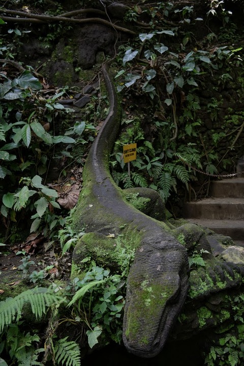 DSC_8327 (1)