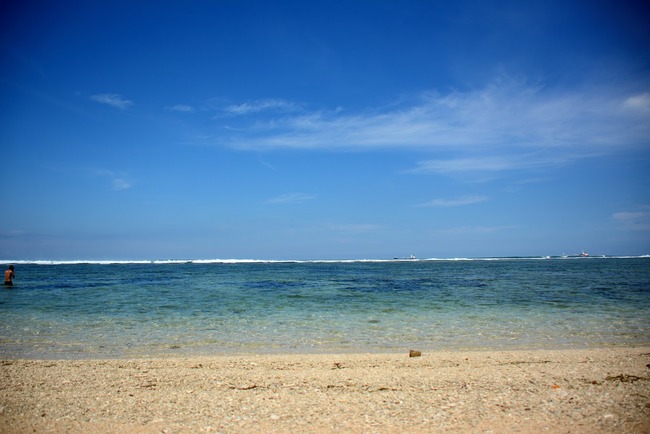 DSC_9102 (1)
