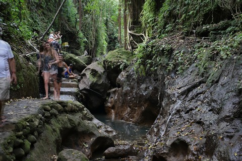 DSC_8365 (1)