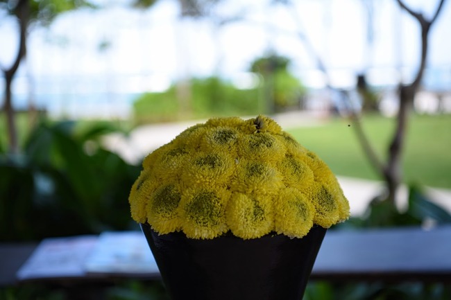 DSC_4823 (1)