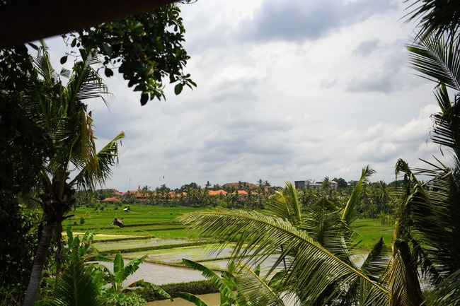 DSC_7615