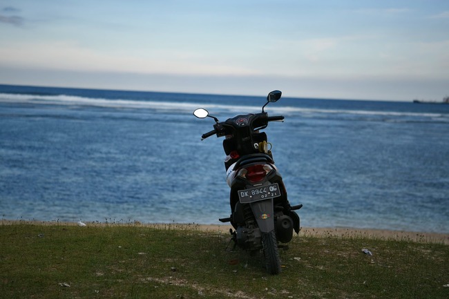 DSC_2806 (1)