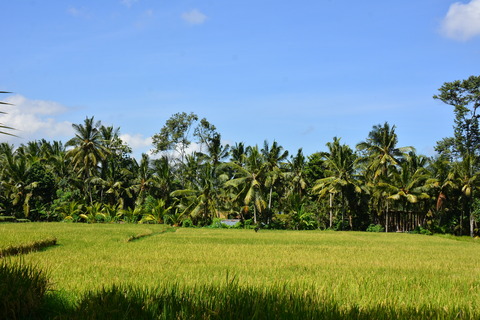DSC_7144