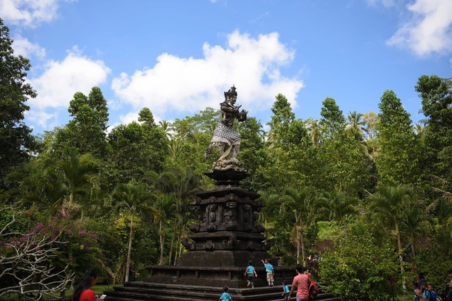DSC_3409 (1)
