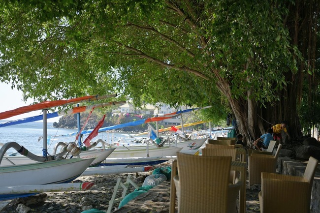 DSC_6399 (1)