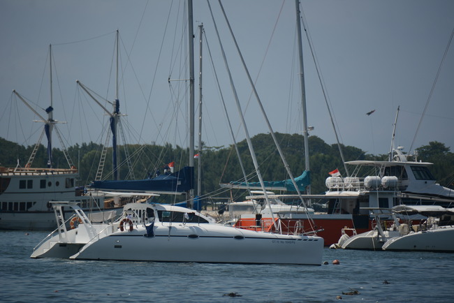 DSC_8988 (2)