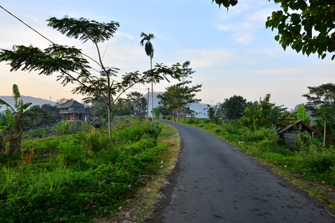 DSC_4984