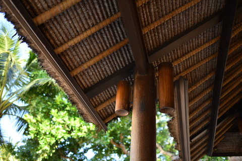 DSC_8621