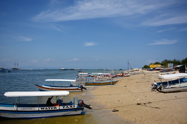 DSC_8944 (1)