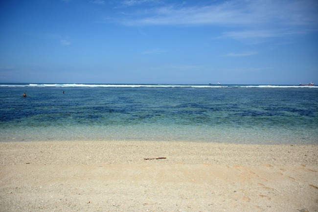 DSC_9143 (1)