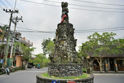DSC_8677 (1)