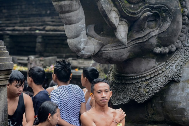 DSC_9646 (1)