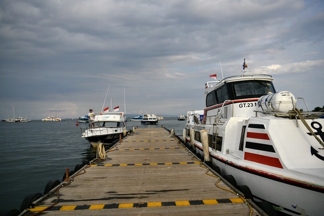 DSC_9014 (1)