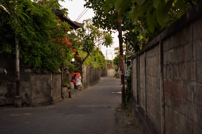 DSC_9492