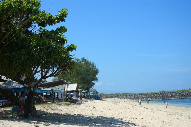 DSC_9073 (1)