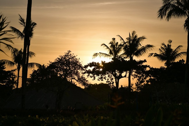 DSC_5373 (1)